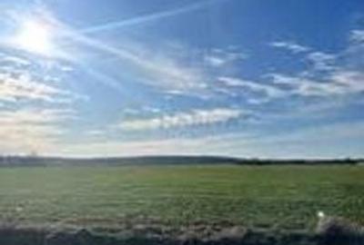 Spațiu comercial, în Odăile - 5