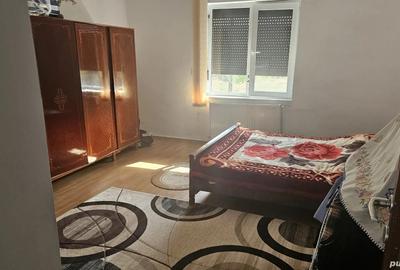 Casa caramida 4 camere la 29km de Timisoara - 3