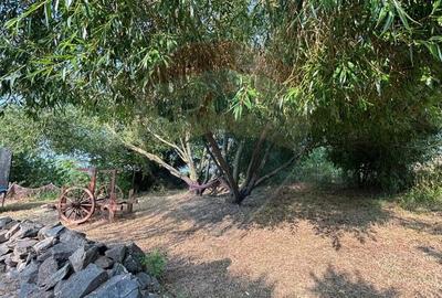 Hotel - Pensiune cu 14 duplexuri de vanzare CASA CU STUF Olimp - 5