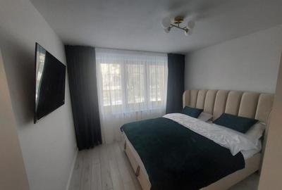 Apartament 2 camere, 48 mp utili, zona Brazda lui Novac - 12
