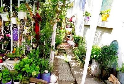 Casa individuala - zona Vitan - 13