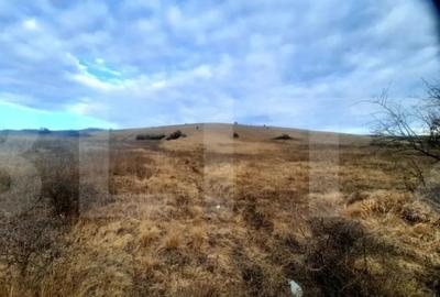 Teren de 2900 mp, în Sopor - 5