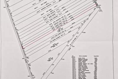 Teren în Olteni - 1