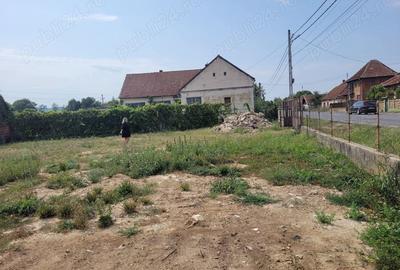 Casă în Topa de Criș - 2
