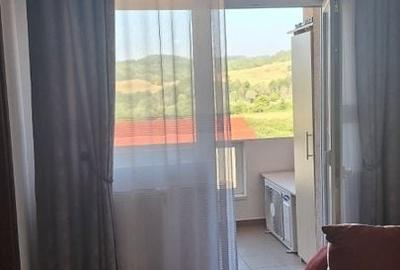 Apartament 2 cam de vanzare Curtea de Arges - 12