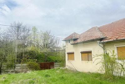 Casa de Vanzare, 4139 mp, Hapria, Ciugud Ideala ca Locuin?a sau Proiect Rural - 2