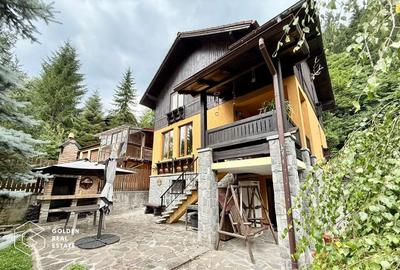 Vila de exceptie in Sinaia, mobilata, utilata, cu vedere superba - 3