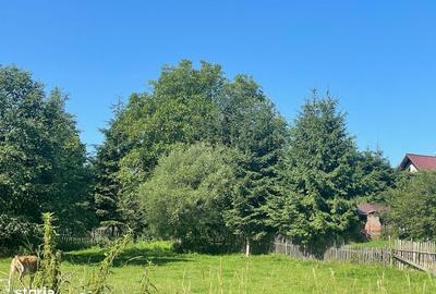 Spațiu comercial, în Moieciu - 2