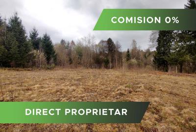 Spațiu comercial, în Viștișoara - 7