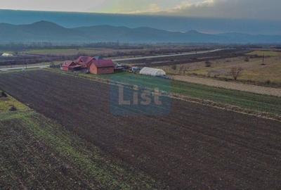 Teren agricol intravilan de 23600 mp, în Cășeiu - 5