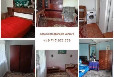 Casă cu 4 camere cu Teren 1593 Mp în Agighiol - 3