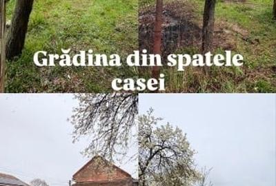 Casă individuală cu 3 camere cu Teren 2319 Mp în Sacoșu Mare - 9