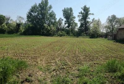 Teren de 5390 mp, în Vladimir - 5