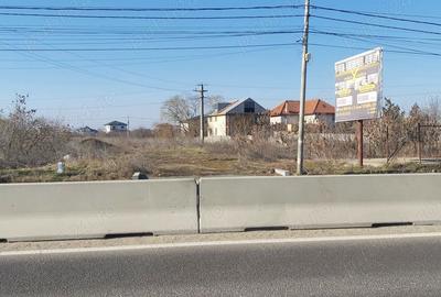 Teren de 2400 mp, în 1 Decembrie