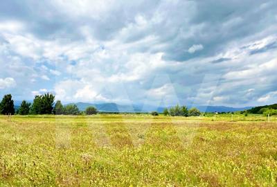 Casa 4 cam.+ teren de vanzare in Cartierul Turnisor, Zona Exclusivista - 14