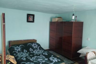 Casă cu 4 camere în Cernișoara - 6