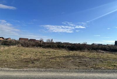 Teren Construcții intravilan de 1000 mp, în Vest - 4