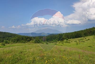 Teren agricol extravilan de 128948 mp, în Munteni - 2