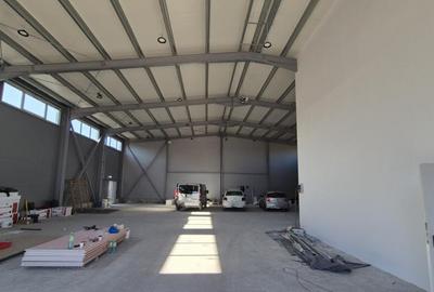 Hala Noua de Inchiriat | Pallady-Drum Intre Tarlale | 600MP - 21