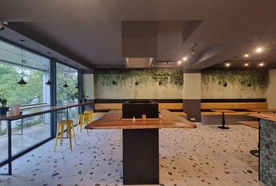 Spatiu comercial, 137mp+ terasa 20mp, Brazda lui Novac, zona Guliver - 1