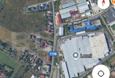 Teren de 597 mp, în Centura - 2