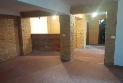 VILA IMPOZANTA JOITA/ - 9