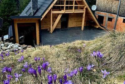 Casă cu 2 camere cu Teren 425 Mp în Iosefin - 7