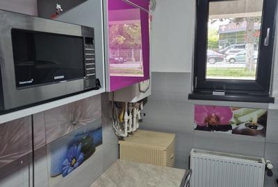 Apartament cu 2 camere semidecomandat în Runcu - 4