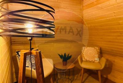 Casa de vacanta la munte de vanzare - 9