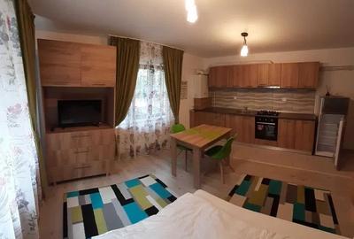 Apartament cu 1 camera, zona Nicolina-Lidl - 3