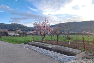 RECO Apartament cu curte, garaj si gradina Astileu - 4