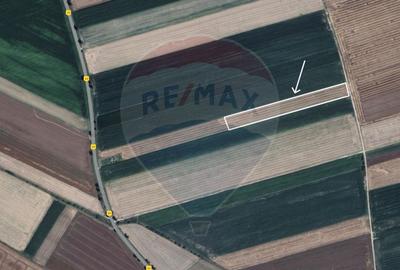 Teren extravilan de 9750 mp, în Hălchiu - 4