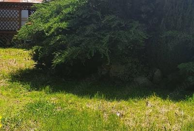 Apartament cu 4 camere decomandat în Central - 1