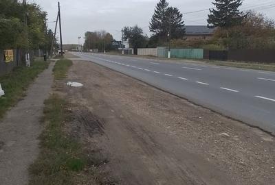 Casă cu 3 camere cu Teren 2500 Mp în Central - 3