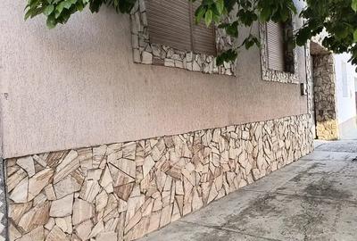 Casa de vinzare in comuna Teregova - 2