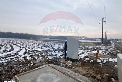 Teren de 6210 mp, în Ciolpani - 5