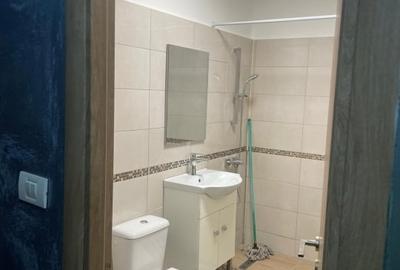 Garsonieră decomandată în Brazda lui Novac - 8