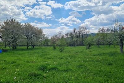 Domeniu Pensiune Transfagarasan 20855 Domeniu Pensiune Transfagarasan 20855 - 9