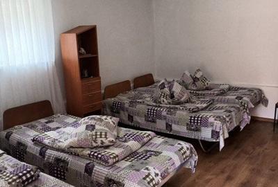 Casa 5 camere Rau Sadului - 5