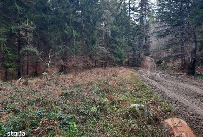 Spațiu comercial, în Central - 3