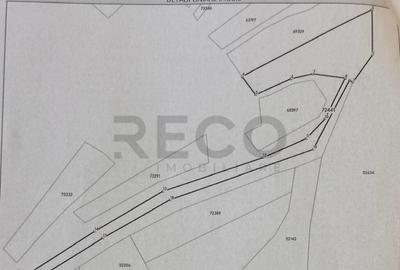 RECO teren extravilan Betfia - 4
