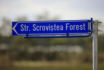 Teren De vânzare 750 mp  Forest - Bălteni, Gara, Pădure  Curent Apa  F. Optică - 9