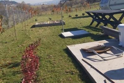 Teren agricol extravilan de 1000 mp, în Florești - 5