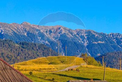 COMISION 0% Teren 19.300 mp/?irnea/ Oportunitate de inve... COMISION 0% Teren 19.300 mp/?irnea/ Oportunitate de inve... - 14