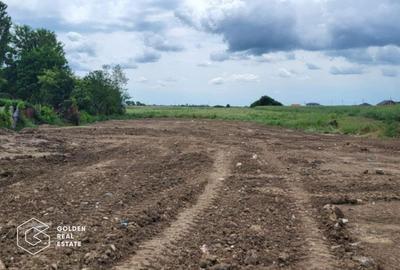 Teren intravilan curti constructii, Sacalaz, Timis - 1