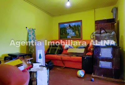 Casă cu 2 camere în Criș - 4