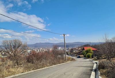 Teren de 9100 mp, în Petrișor - 1