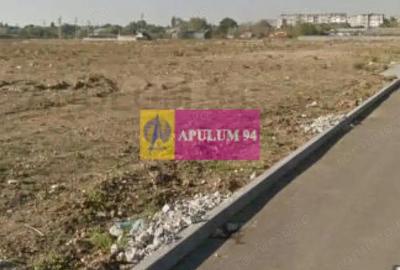 OCAZIE!!! Teren 5000 mp de vanzare in Alexandria - TR - 11
