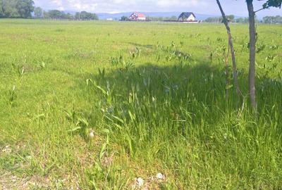 Teren rezidential pozitie deosebita RASNOV - GLAJERIE - 6