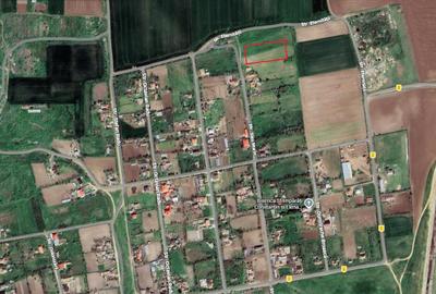 Teren Construcții intravilan de 3000 mp, în Bărăganu - 2